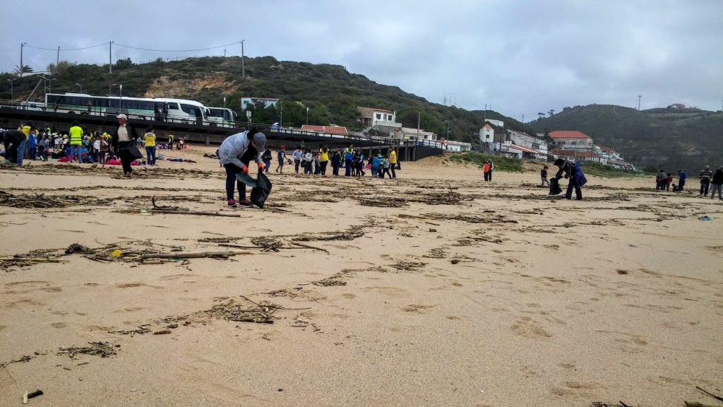 A beach clean-up
