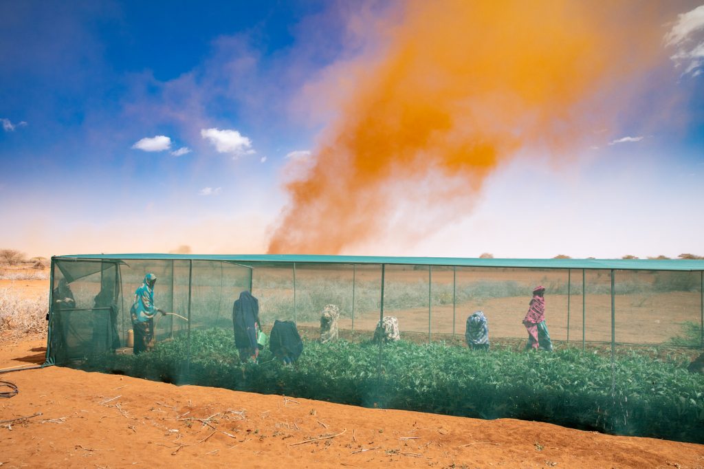 People inside a greenhouse as dust swirls outside