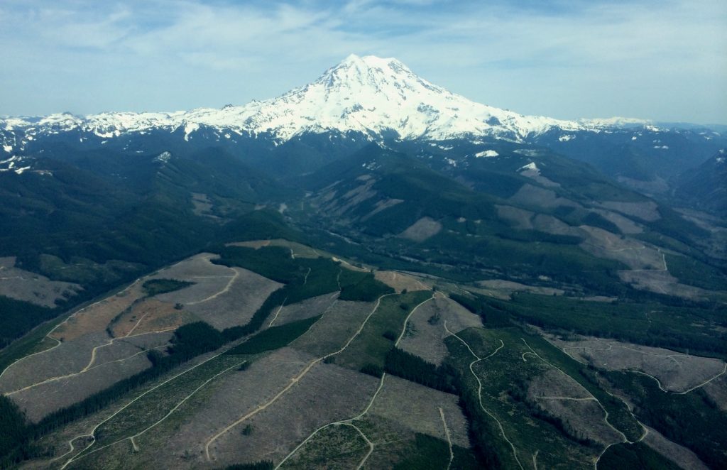 Mt. Rainier and surrounding landscape in Washington, United States