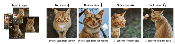 Generative AI example - Dreambooth - Cats