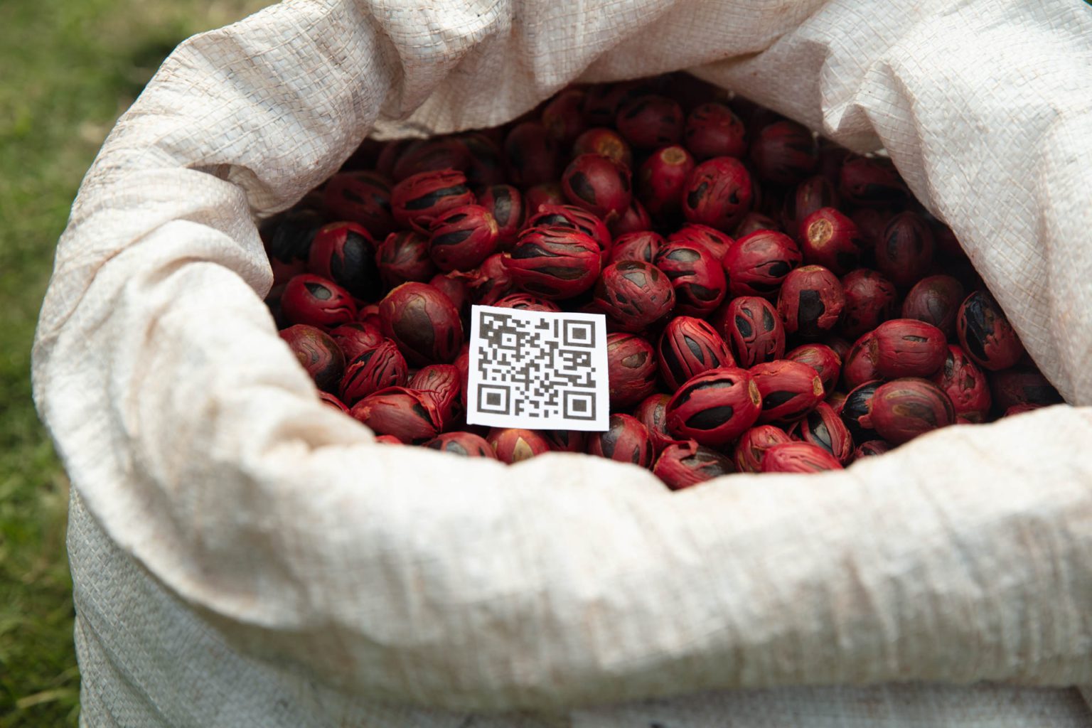 Transforming sustainable food systems through transparency and digital inclusion