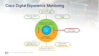 Digital experience monitoring