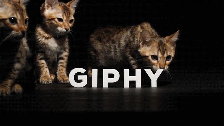 Avatar-country GIFs - Get the best GIF on GIPHY