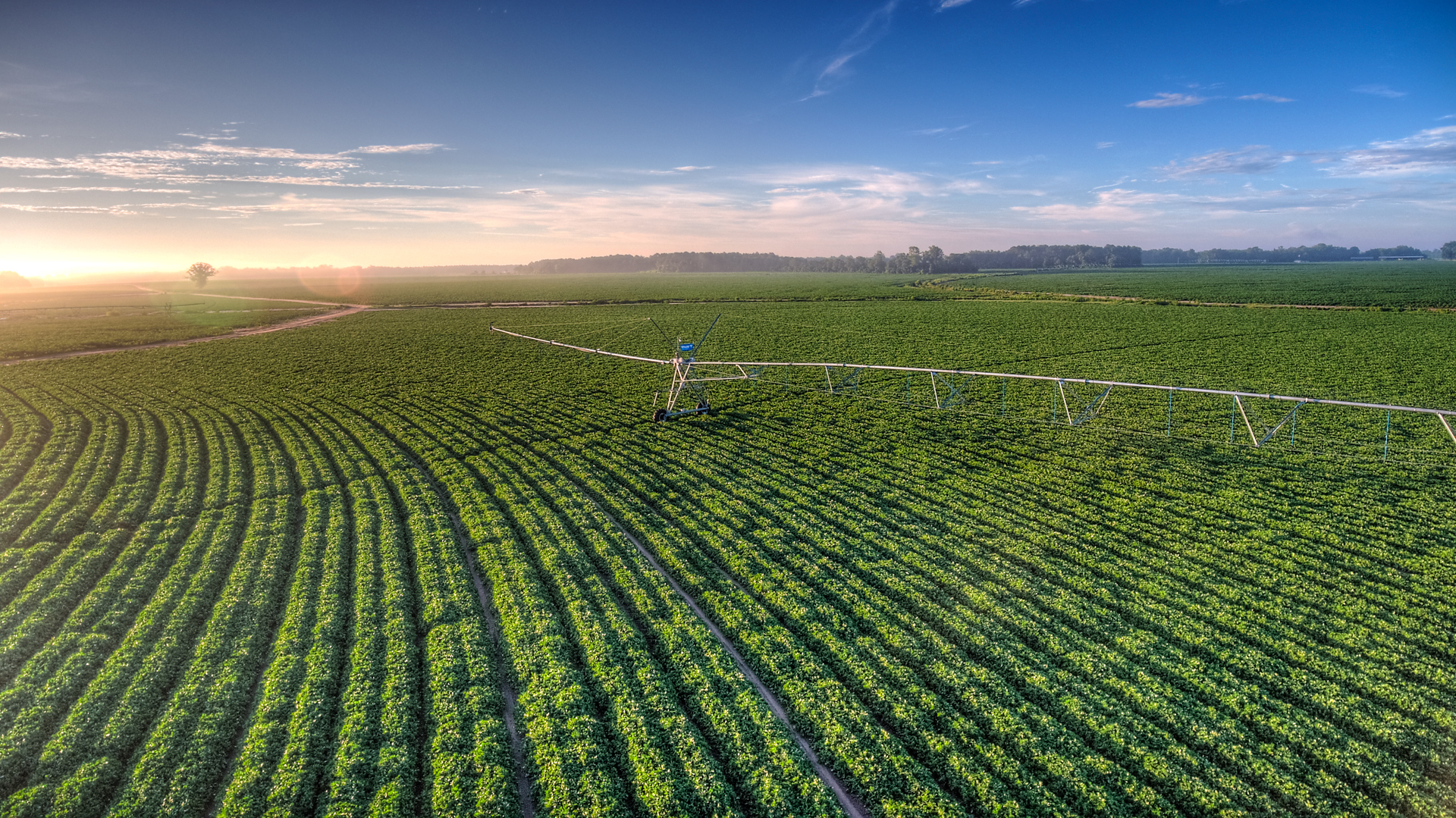 Driving the digital transformation of AgTech, an interview with Prospera CEO Daniel Koppel