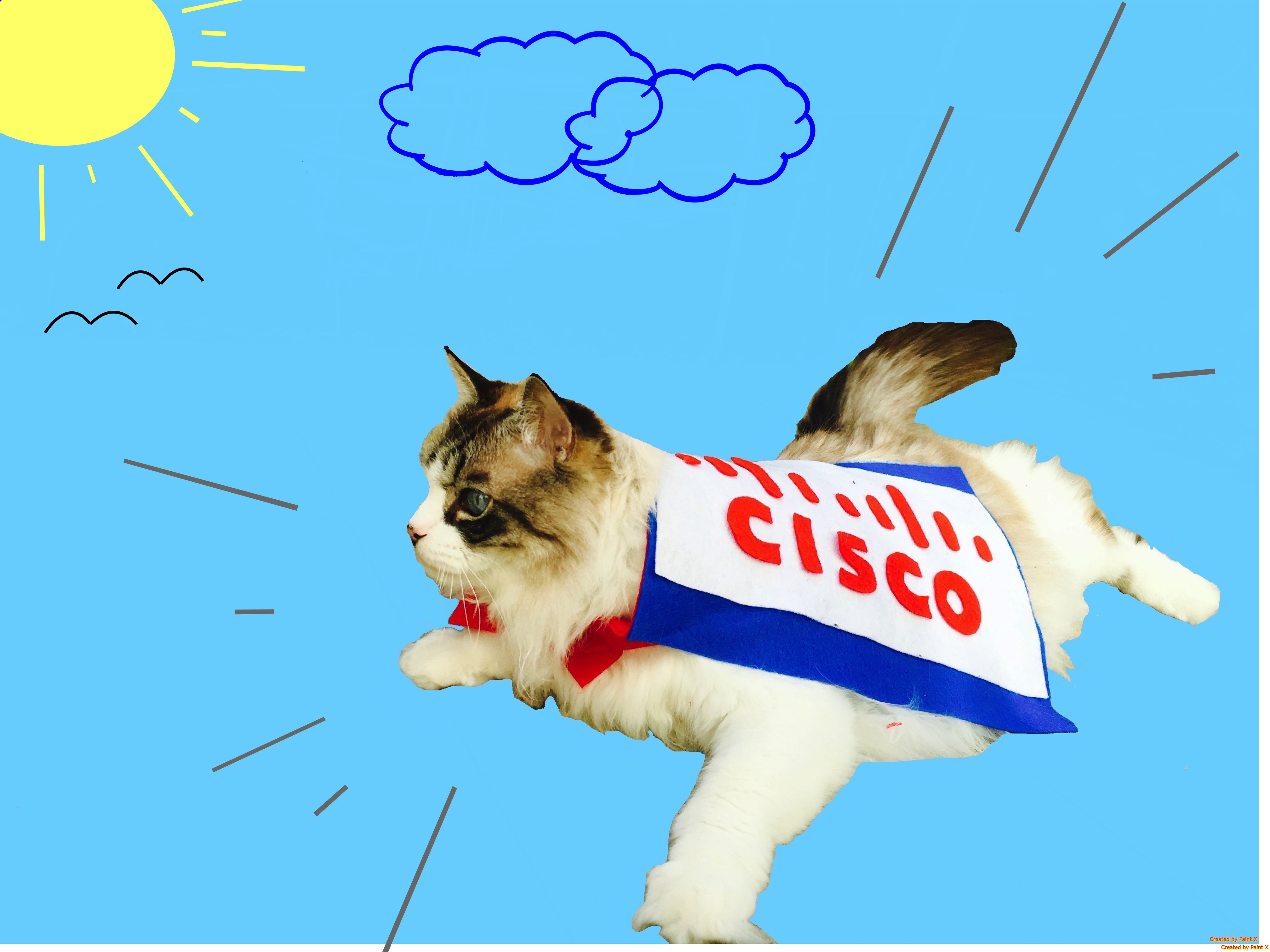 Cisco Flexibility Saves One of Cat’s Nine Lives