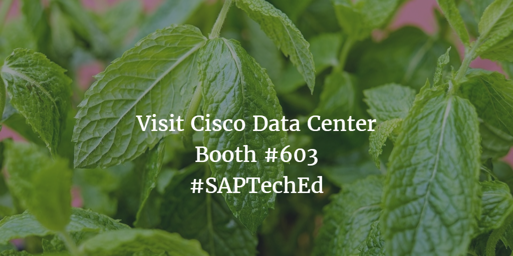 See new innovations in Cisco Data Center at SAP TechEd