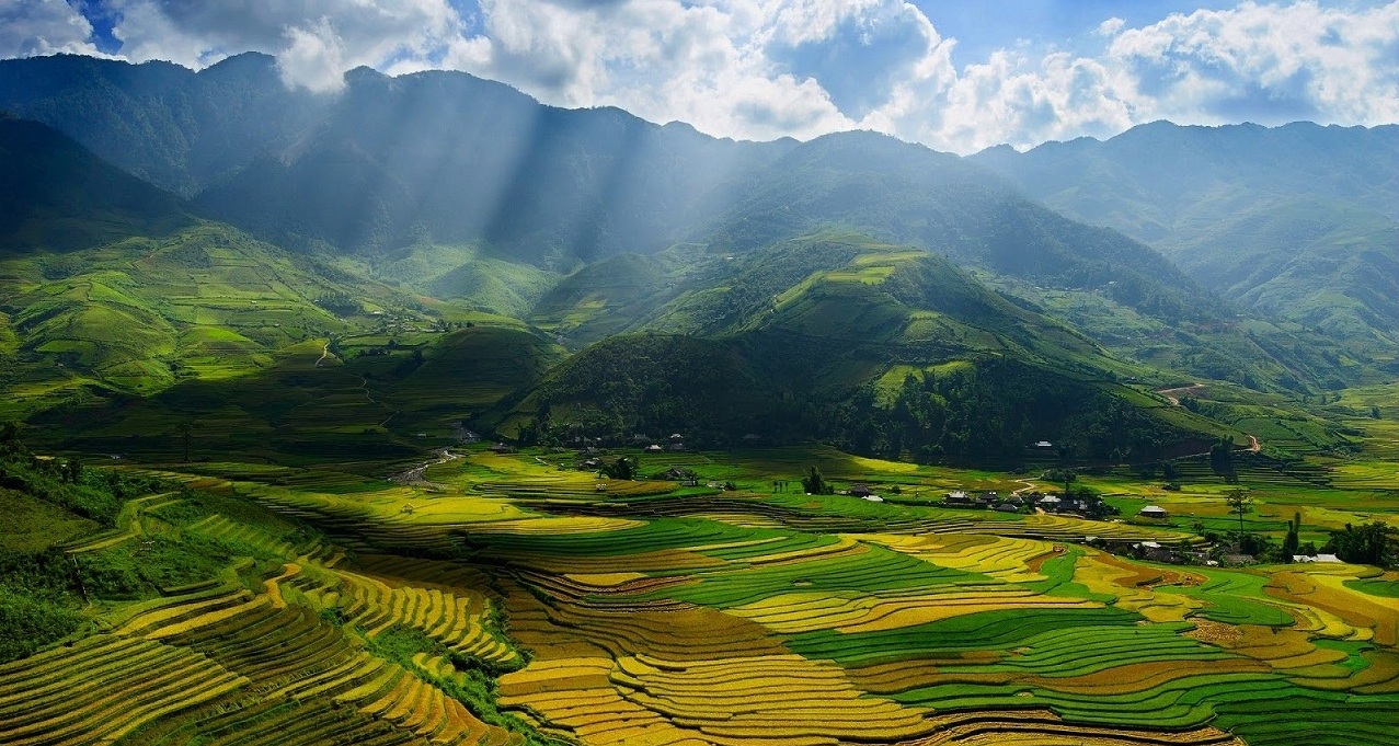 Sapa landscape