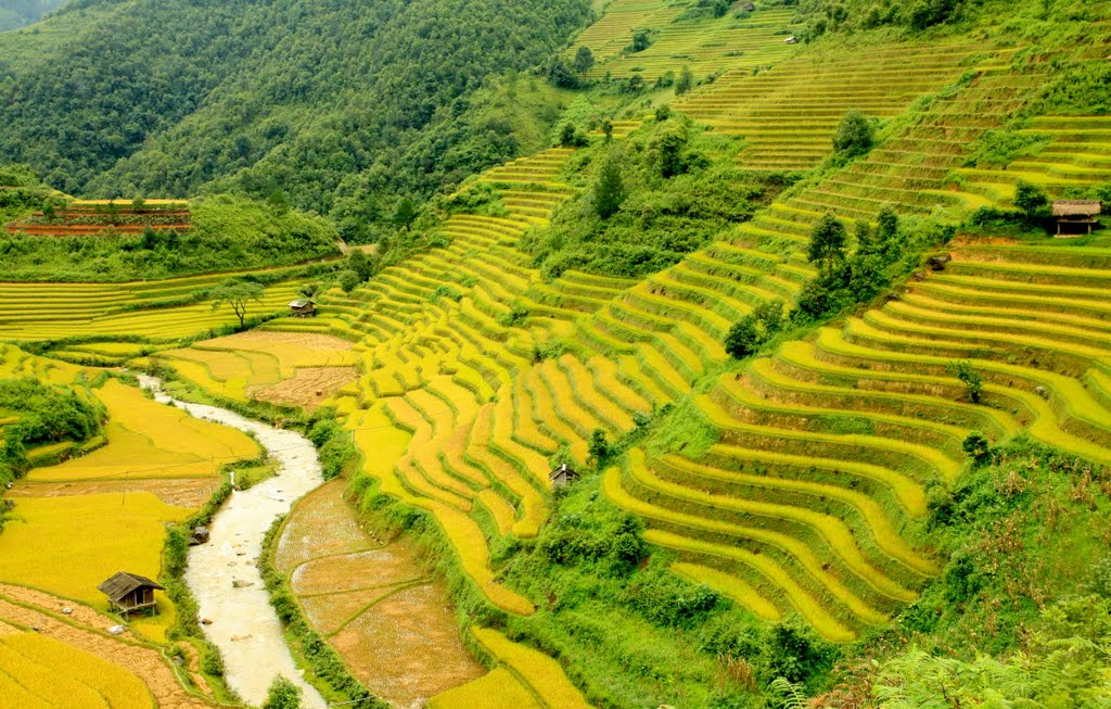 Bản La Pán Tẩn ở Mù Cang Chải