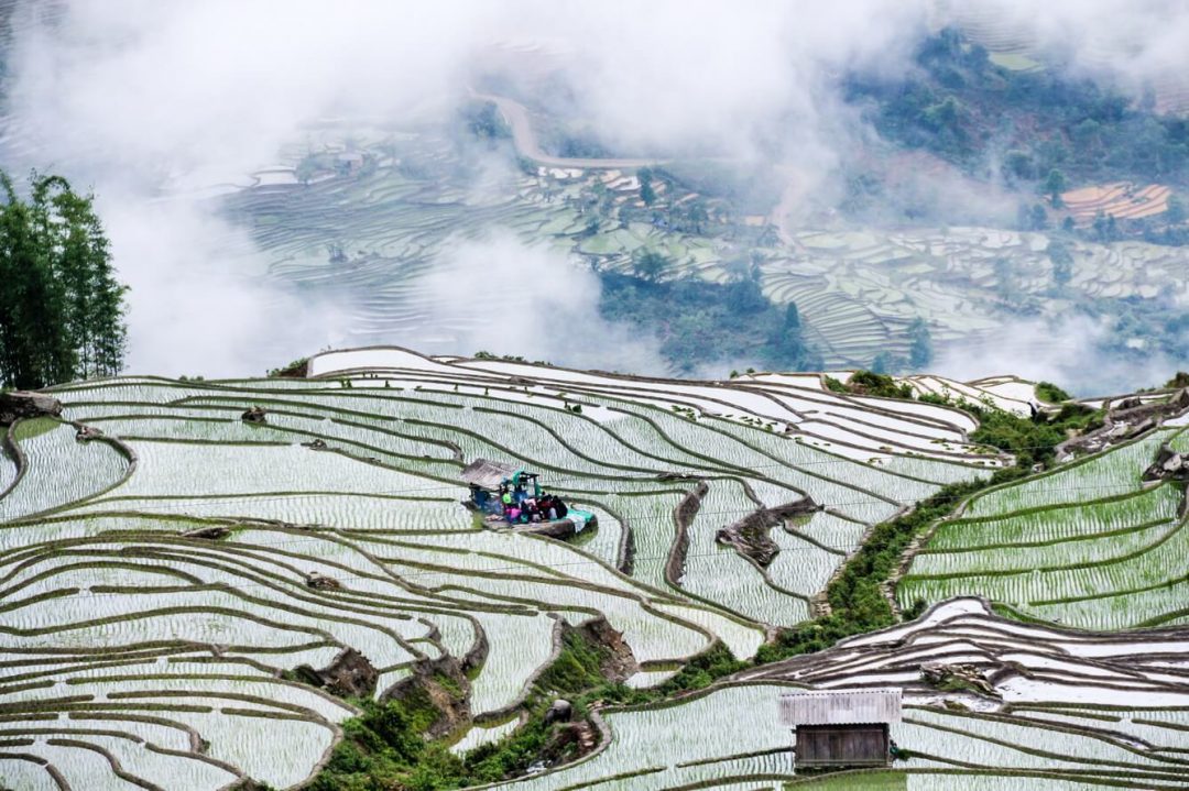 Mù Cang Chải mùa nước đổ