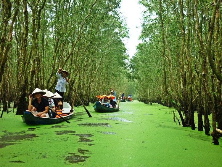 Kinh nghiệm du lịch Cần Thơ: Mùa nước nổi Cần Thơ