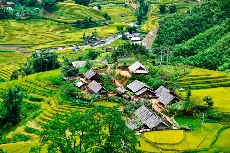 Du lịch SaPa: Lao Chải Tả Van