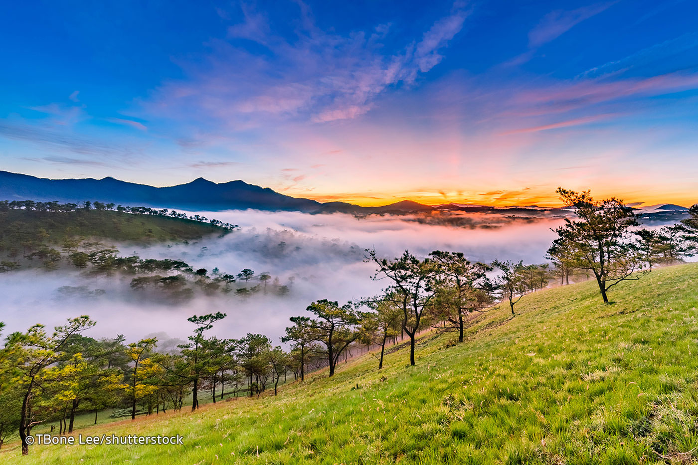 buses to Dalat