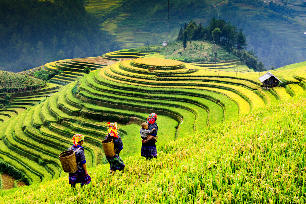 Du lịch Sa Pa