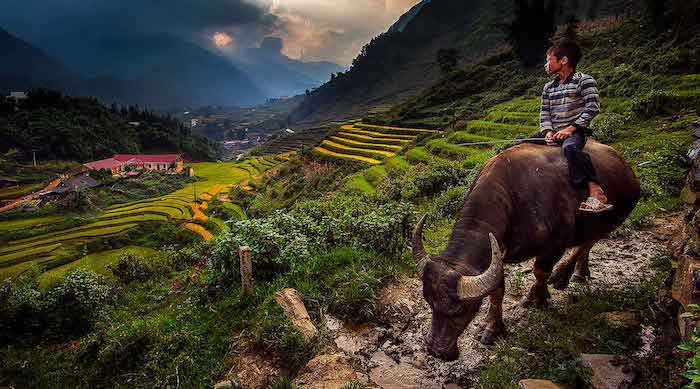 Du lịch bản Cát Cát Sapa - Một số lịch trình du lịch Sa Pa tự túc tham khảo cho ai lần đầu - Một số lịch trình du lịch Sa Pa tự túc tham khảo cho ai lần đầu đi