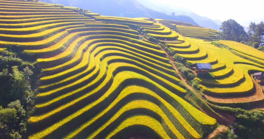 Ruộng bậc thang Mù Cang Chải