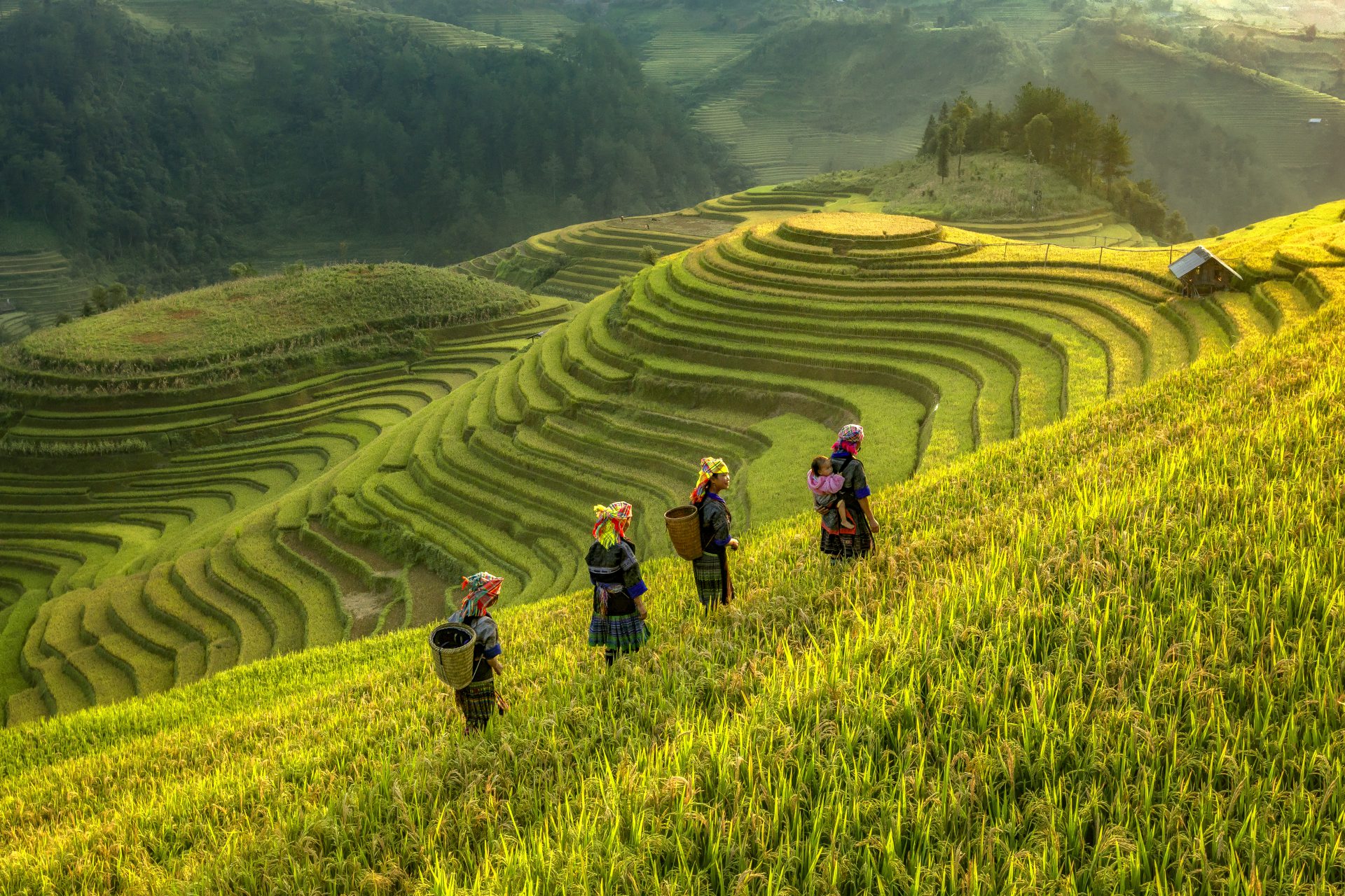 Du lịch Mù Cang Chải