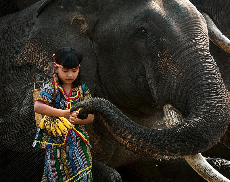 Ảnh đẹp Việt Nam - Thân Thiện