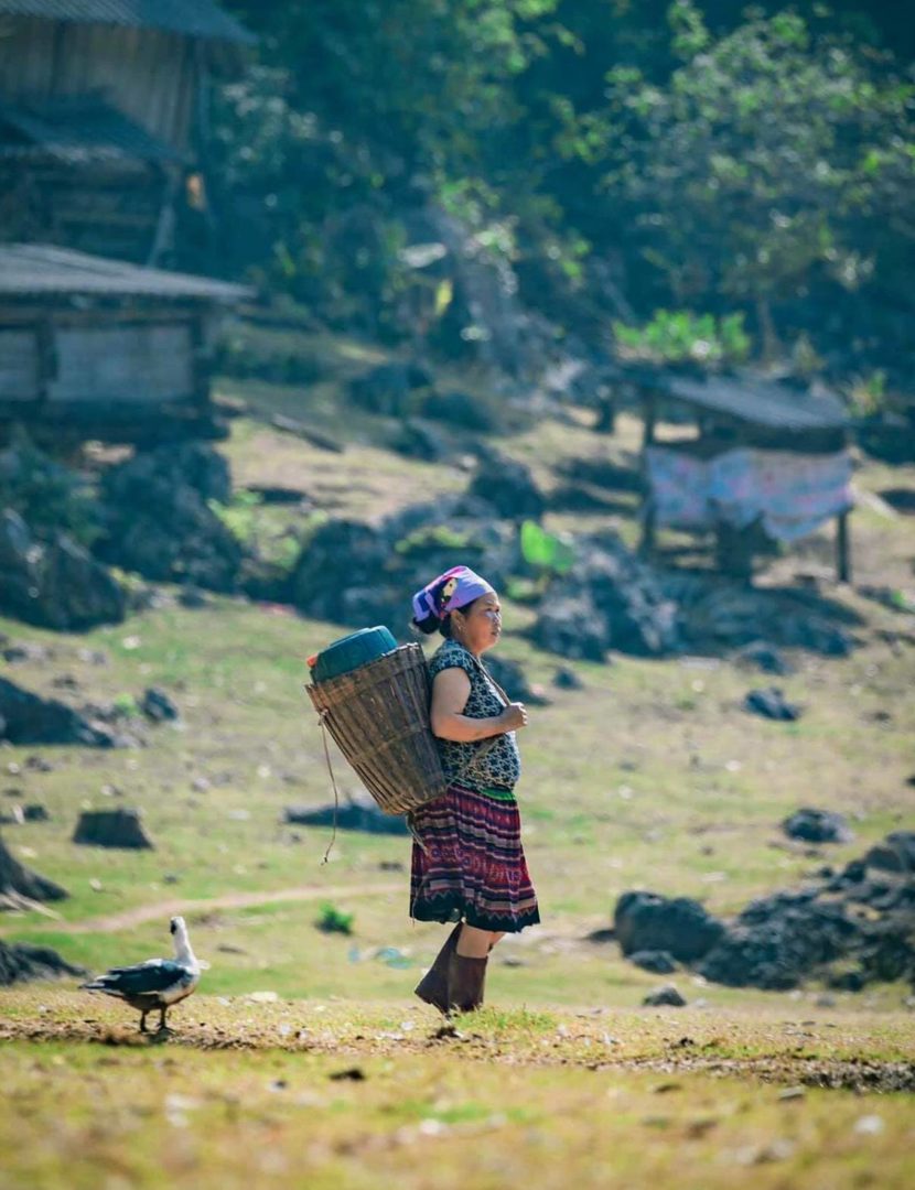 Người dân ở Hang Táu chủ yếu sống bằng nghề chăn nuôi, làm rẫy
