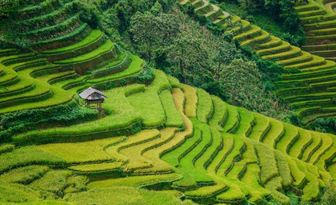 Địa điểm du lịch Sapa - Bản Tả Phìn