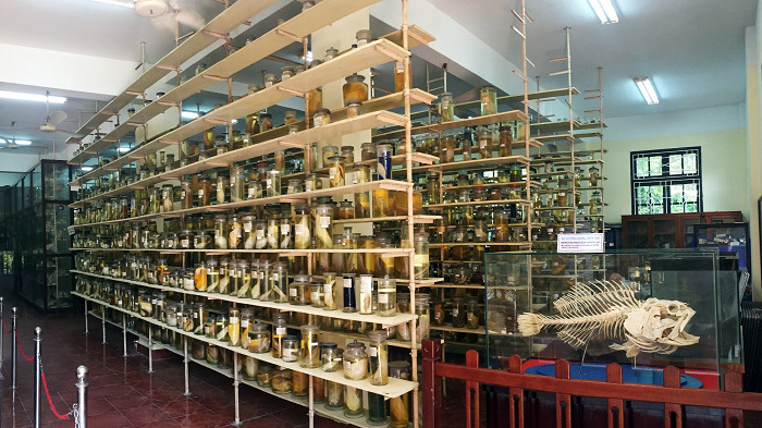 Khu trưng bày sinh vật biển