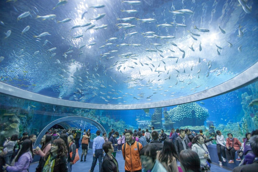 Viện Hải Dương học Nha Trang: Tham quan đại dương thu nhỏ