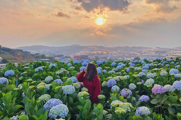 Nên đi Đà Lạt vào tháng mấy?