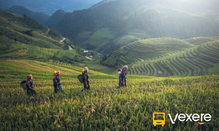 hà nội đi sapa bao nhiêu km