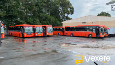 xe kim hoàng đi bến tre từ sài gòn