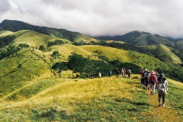 tà năng phan dũng