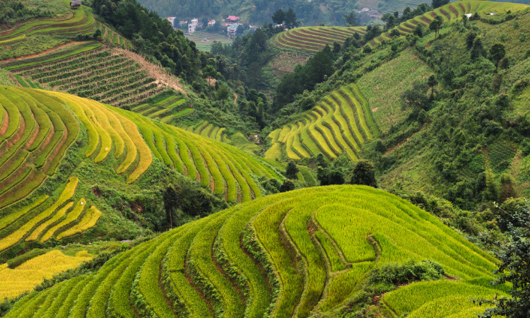 du lịch sapa