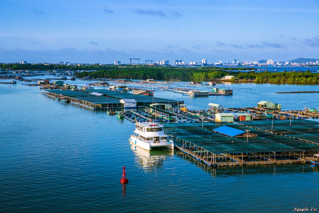 cung đường phượt long sơn vũng tàu