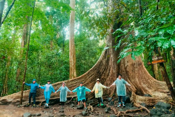 khu du lịch sinh thái rừng đước