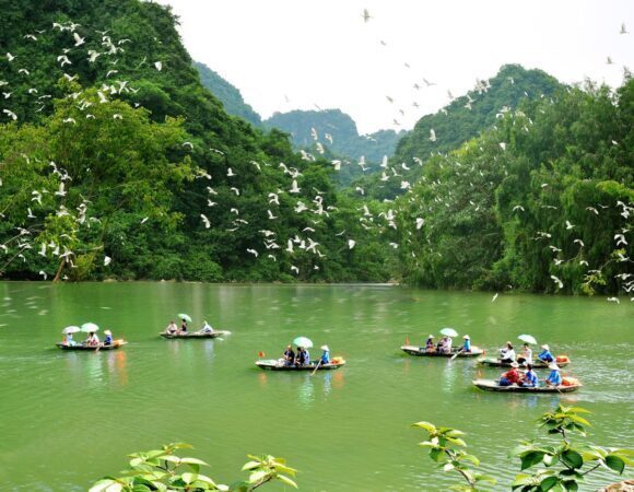 43161669-dia-diem-du-lich-ninh-binh-vuon-chim-thung-nham-2775389-580x450-3788242-3325497-8563627