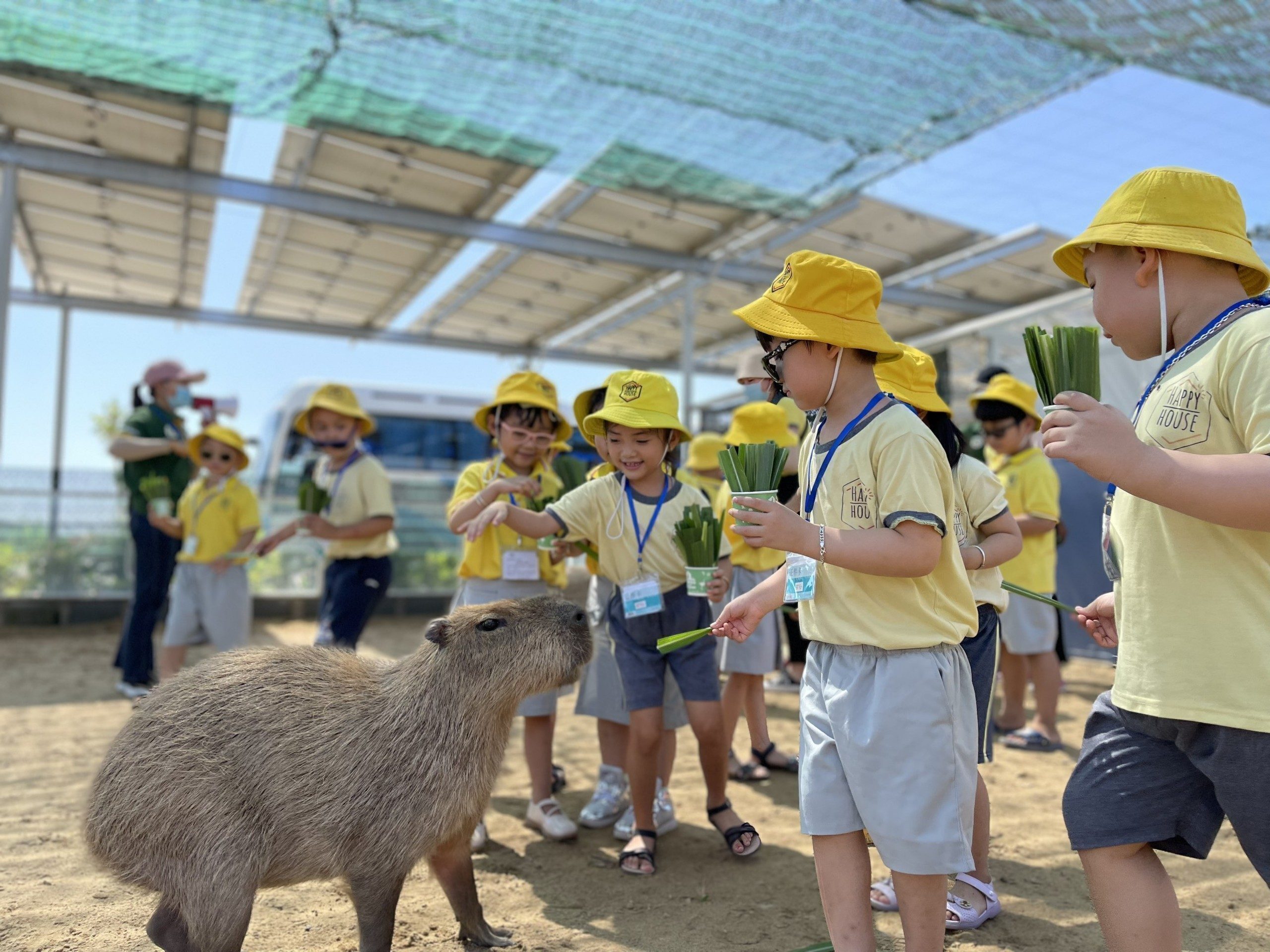 b0152810-vuon-thu-zoo-doo-da-lat-1075318-8459939-2255353-5334591-7040895-8709569-5660577-2653813-4560720-7644231-6892362-5452407