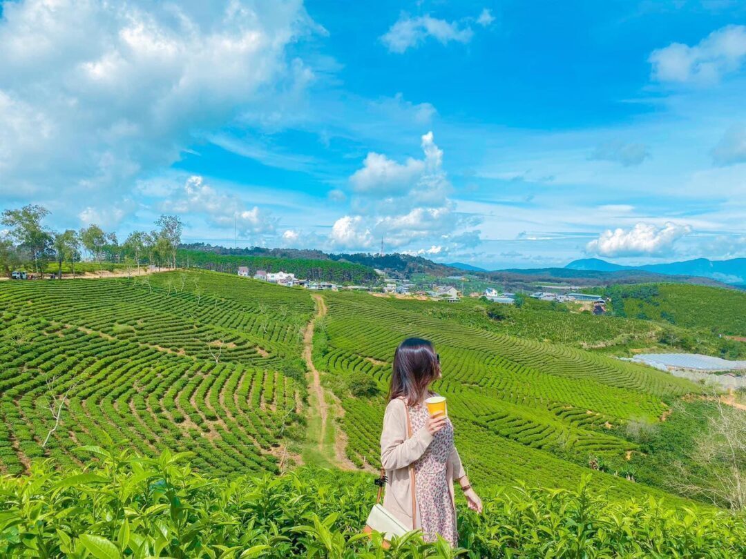 c06d5790-doi-che-cau-dat-da-lat-1080x810-2730315-4535827-9387398-6818334-7071204-6295729-2661405-7167449-1526746-9401750-6667625-8231436-4375775-4515076-4689213