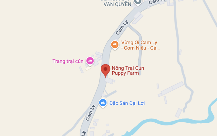 ee1dc879-vi-tri-nong-trai-cun-puppy-farm-4942681-715x450-4817835-7893673-1311868-7035600-5133090