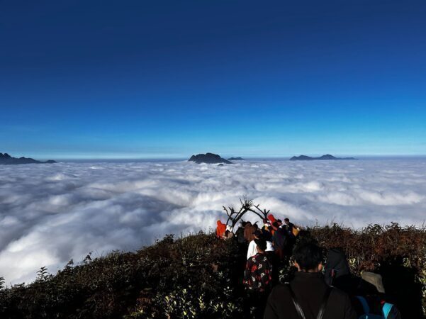 0006402a-dia-diem-du-lich-thanh-pho-lao-cai-4861528-601x450-4943382-3615326-4730263-6913351-3837739-6215790-4890810-4416247