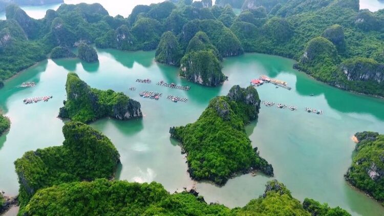 05f68b1b-vinh-bai-tu-long-o-dau-3138026-750x422-8463629