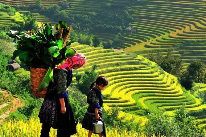 40fcee48-cac-dia-diem-du-lich-lao-cai-3600570-3568779-1498472-9274247-3651492