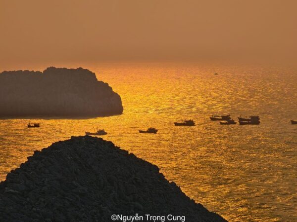 4ee36f58-dao-long-chau-o-dau-9106301-600x450-5597587