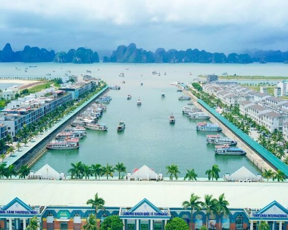 5eecc724-dao-tuan-chau-ha-long-quang-ninh-3745234-563x450-1367740-1616669-5634681