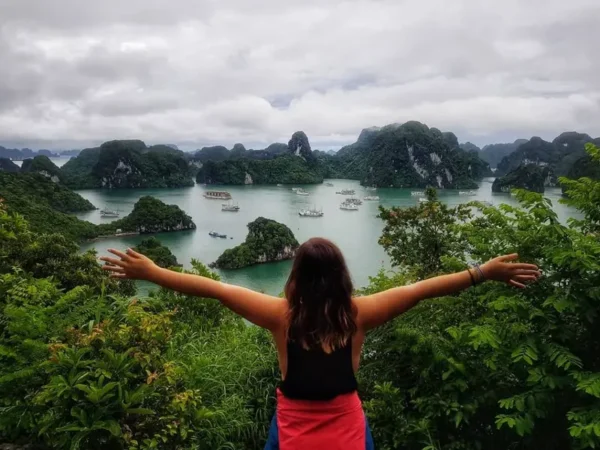 đảo ti tốp hạ long nhìn từ trên cao