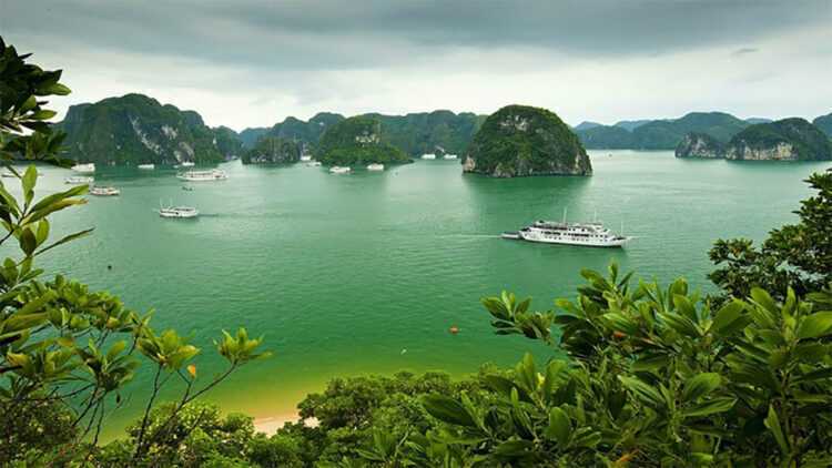 896a6c79-du-lich-vinh-lan-ha-hai-phong-2737419-750x422-9079867-5614703-6607911-6105582-1433423