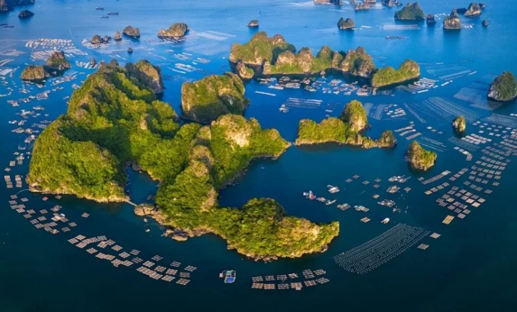 kinh nghiệm du lịch vân đồn quảng ninh