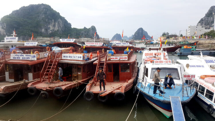 982530ad-ve-tau-cang-cai-rong-co-to-4452427-750x422-5676650-4309962