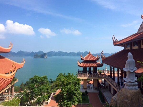 9d0a0e05-gia-ve-cang-cai-rong-di-co-to-9002358-600x450-8606541-7862934