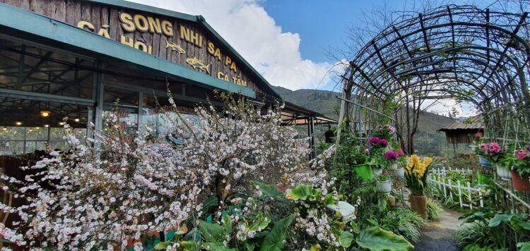 afba2d75-nha-hang-am-thuc-pho-lao-cai-1427547-750x356-4271762-5779911-1039852-2008138