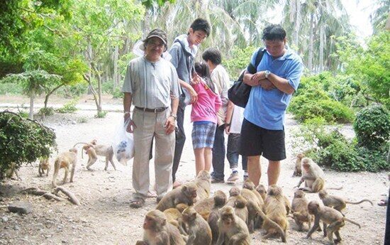 bdaac0c3-tham-quan-vinh-lan-ha-tren-dao-cat-ba-5102283-9016691-5870955-8141084-8004296-2392105