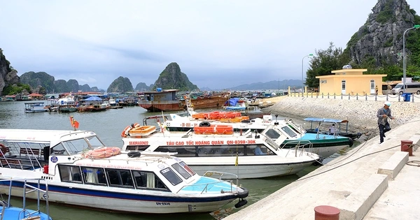 tàu cao tốc đi đảo quan lạn