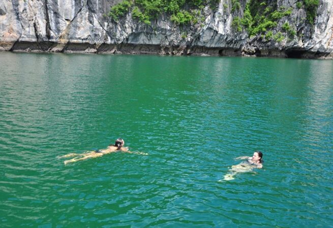 e51594da-vinh-bai-tu-long-va-vinh-ha-long-7725625-655x450-9960180-4301078